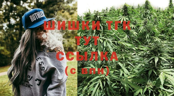 соль ск Вязьма